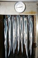 fish in smoking oven