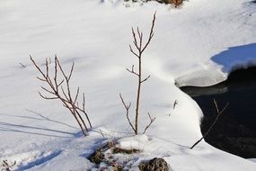 Icelandic nature in winter