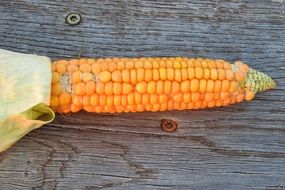 fresh orange corn