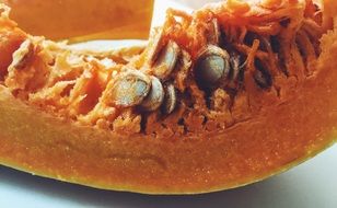 piece of pumpkin with seeds