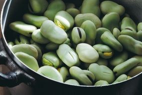 closeup picture of Green beans in the pan