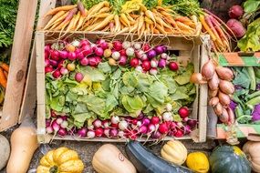 lot of colorful Vegetables on Market stall