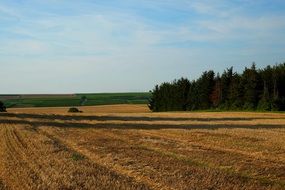 scenic landscape of agricultural field