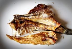 baked fish on the plate