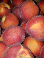lot of juicy ripe peach