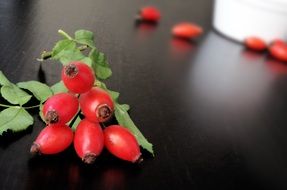 eglantine fruits on branch