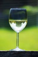 glass of cold white wine