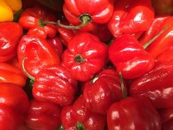 red and yellow bell peppers