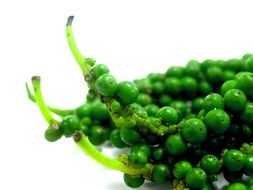 Green Antioxidant Aromatic Pepper