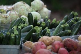 Colorful appetizing vegetables in the market