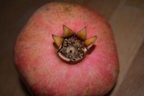 closeup of pomegranate