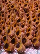 cooking shells