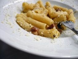 Pasta on the dinner in Rome in Italy