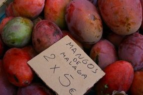 lots of mangoes at the local fruit market