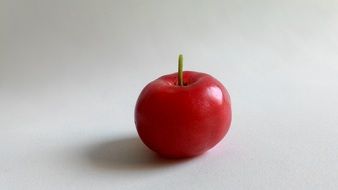 red Acerola Fruit