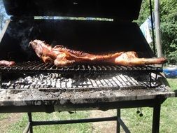Roast Barbecue on a sunny day