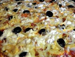 homemade pizza with onion and olives