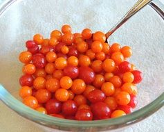 Cherry Tomatoes in a bowl