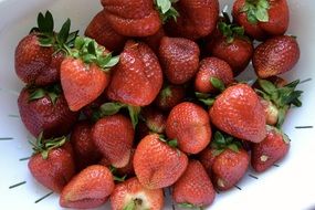 sweet juicy strawberries