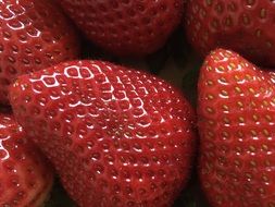 fresh Red Strawberry, macro