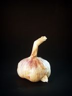 garlic on black