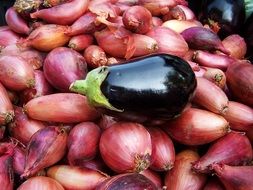 eggplant lies in a box with onions