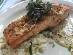 salmon steak with rice