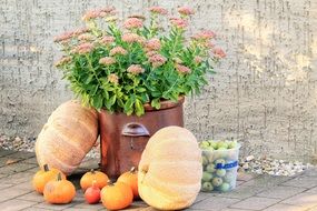 attractive Pumpkins Decoration
