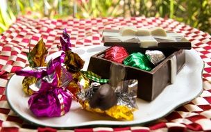 plate with chocolate candies for picnic