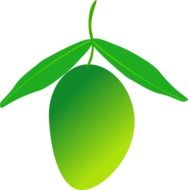 green mango pattern with leaves on a white background