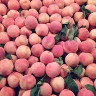 lot of pink peach