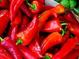 Red Pointed Peppers in a market