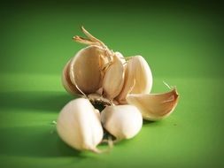 garlic is a spice