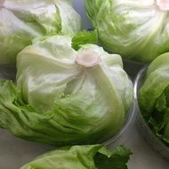 healthy green cabbage