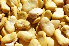 bean close up