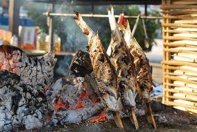 fish on coals as healthy food