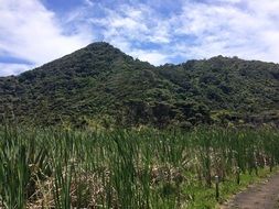 park near the hills in new zealand