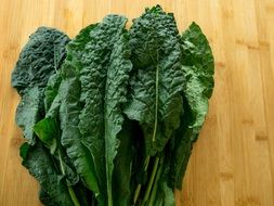 Kale or Brassica oleracea var. sabellica