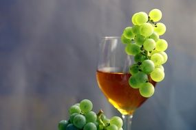 wine in a glass with grapes