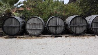 wine barrels in Greece