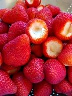 summer harvest of red strawberries