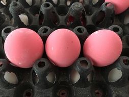 Pink Eggs Food
