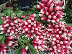 Picture of red and white Radishes