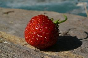 red strawberry on the bench