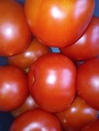 ripe tomatoes for a dish