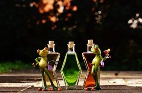 funny frog figures near the bottles with colorful liquids