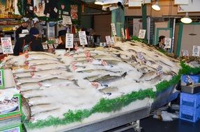 Fish and seafood Market