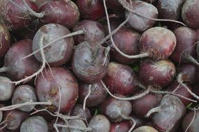 raw Beetroot in pile