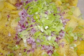 traditional potato salad with other vegetables