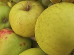 yellow Apples close up